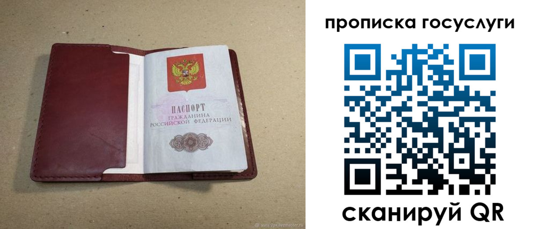 прописка поиск в Курганинске